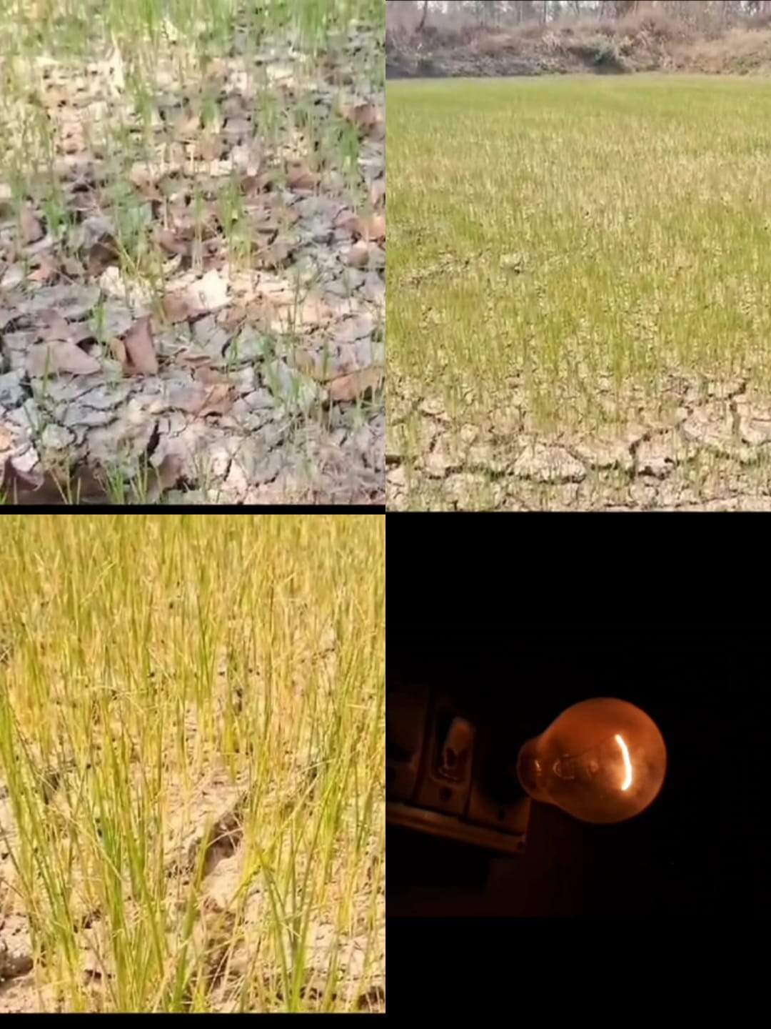 IMG 20250306 WA0001