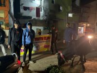 स्वान यूथ क्लब द्वारा महासमुंद में गौ सेवा अभियान संपन्न