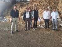 राइस मिलों में बड़ी कार्रवाई, तीन प्रकरणों में 6,694 बोरा धान एवं 15,470 बोरा चावल जब्त