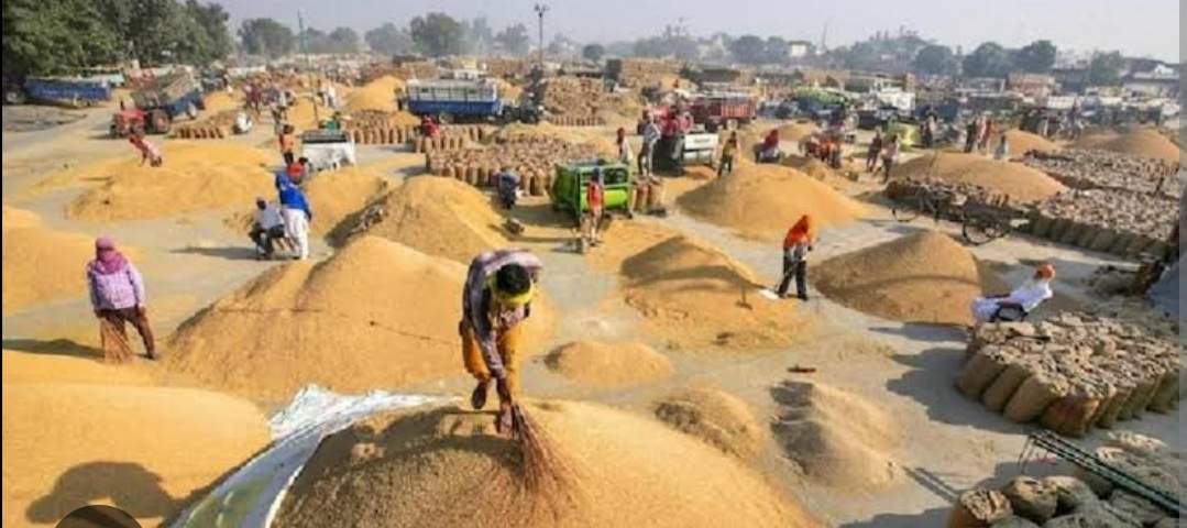 Screenshot 20251213 105028 Chrome