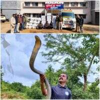 एक माह में गांजा तस्करी के 24 प्रकरणों में 10.50 करोड़ के 2067 किलो गांजा के साथ 52 आरोपी गिरफ्तार