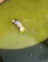 कुएं में बोरी में मिली युवक की लाश, हत्या की आशंका